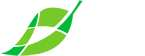 logotipo Jute&Co blanco